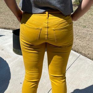 EXPRESS Mustard Dress Pants